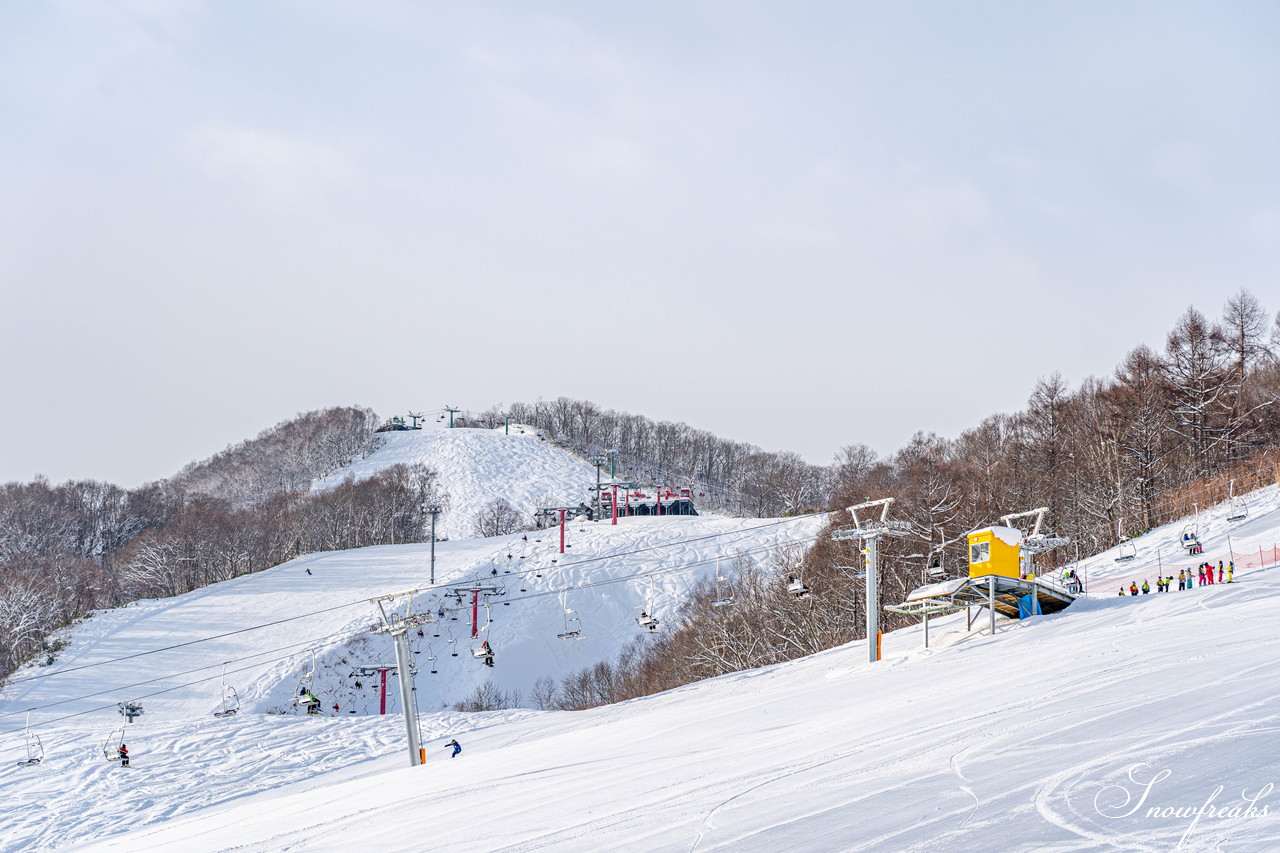 朝里川温泉スキー場　NEWイエローリフト運行開始。そして、新コースも開放間近…。今、北海道で一番“HOT”なスキー場は『ASARI』です！